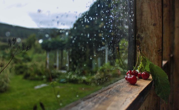 Rainy Day Writing: Finding Inspiration in a Summer Storm